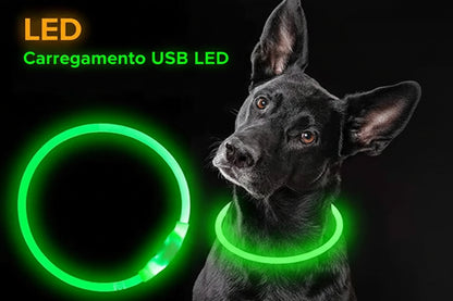 Coleira LED USB Recarregável para Cães - Segurança Noturna Luminosa