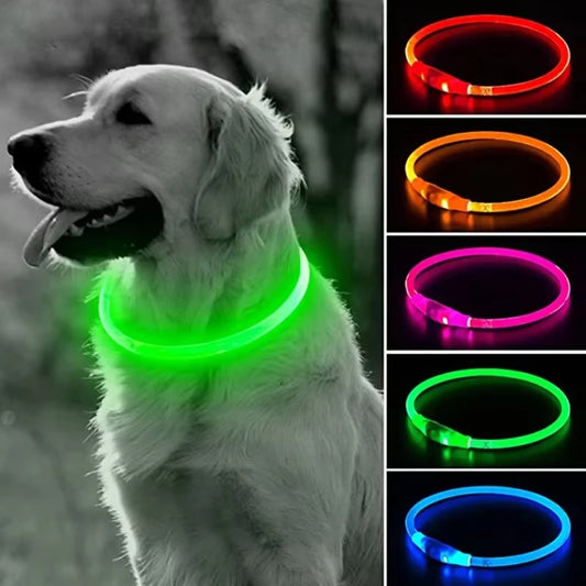 Coleira LED USB Recarregável para Cães - Segurança Noturna Luminosa