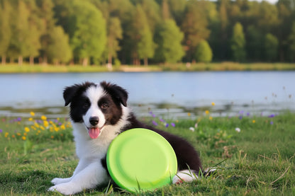Disco de Treino para Cães - Frisbee Leve e Resistente Verde
