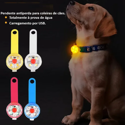 Coleira LED USB Recarregável para Cães e Gatos - Segurança Noturna Luminosa