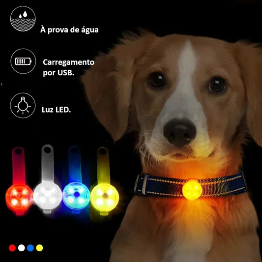 Coleira LED USB Recarregável para Cães e Gatos - Segurança Noturna Luminosa