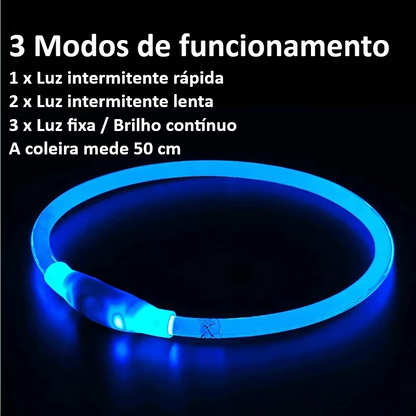 Coleira LED USB Recarregável para Cães - Segurança Noturna Luminosa